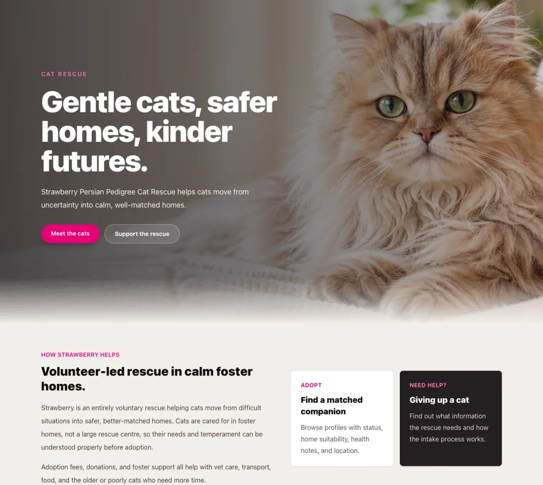 Strawberry Persian homepage showing the cat rescue hero and foster-home adoption messaging