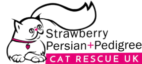 Strawberry Persian Pedigree Cat Rescue logo